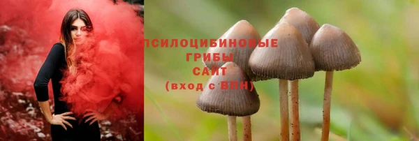 ГАЛЛЮЦИНОГЕННЫЕ ГРИБЫ Алзамай